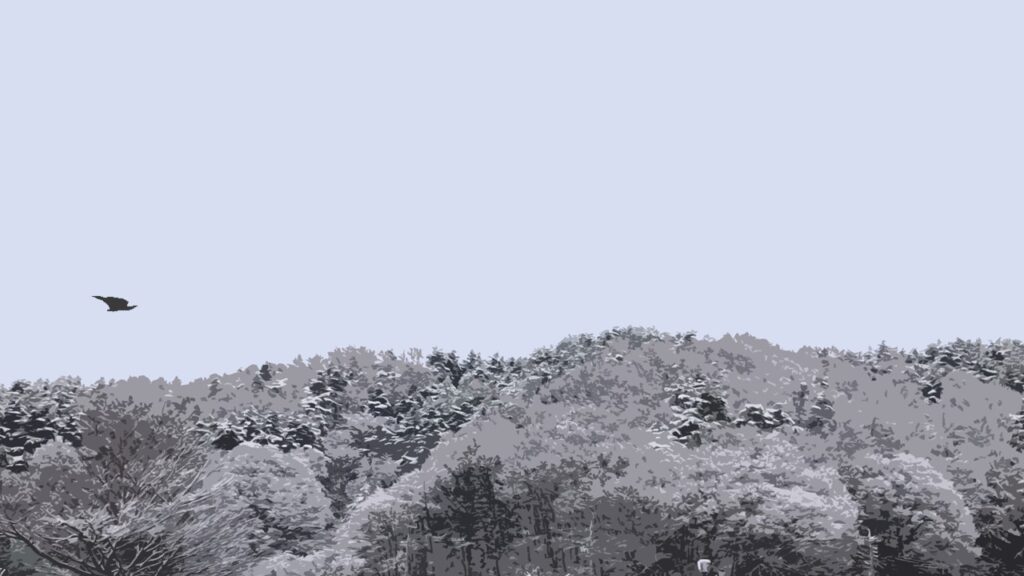 雪をかぶった森の上、冬空に舞う鳥の風景アート風写真